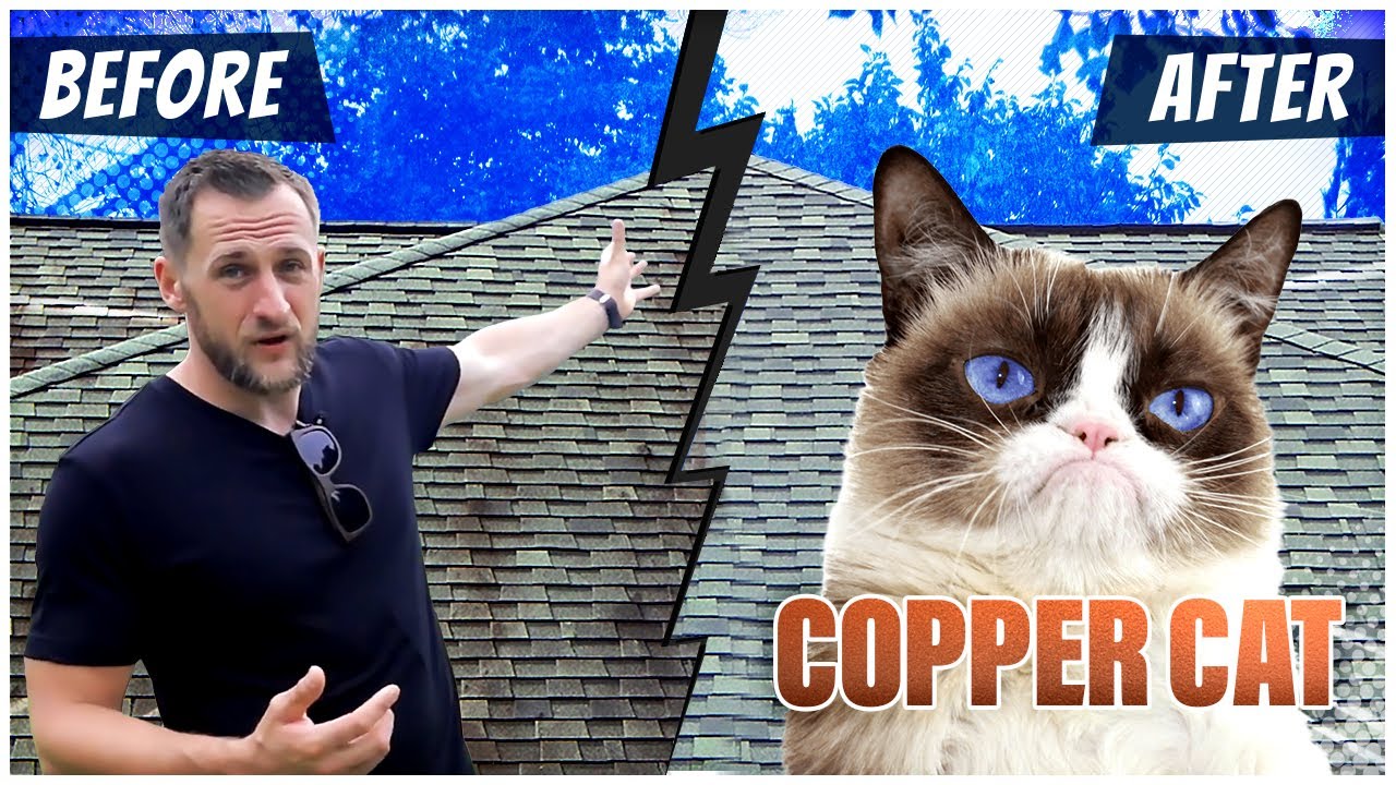 Roofing Cleaner Review: Copper Cat (roof algae removal)