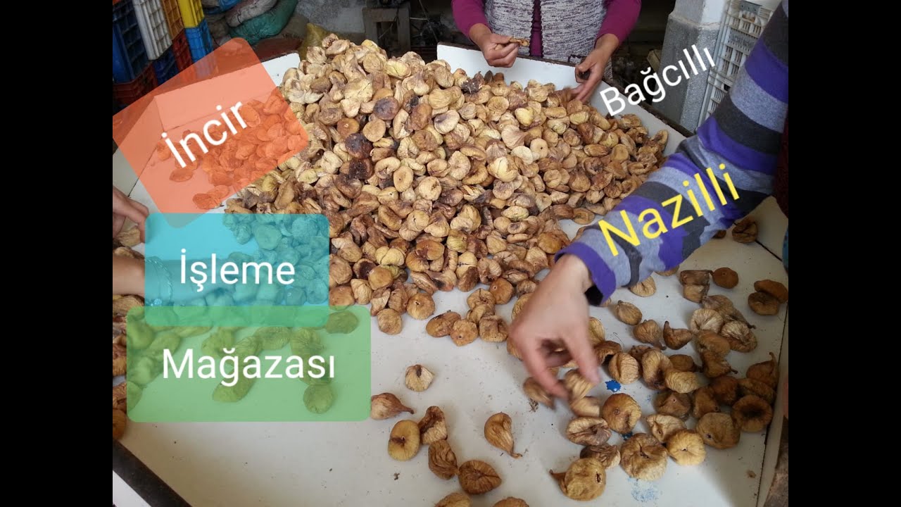 İncir İşleme Paketleme Yeri, Nazilli, Aydın