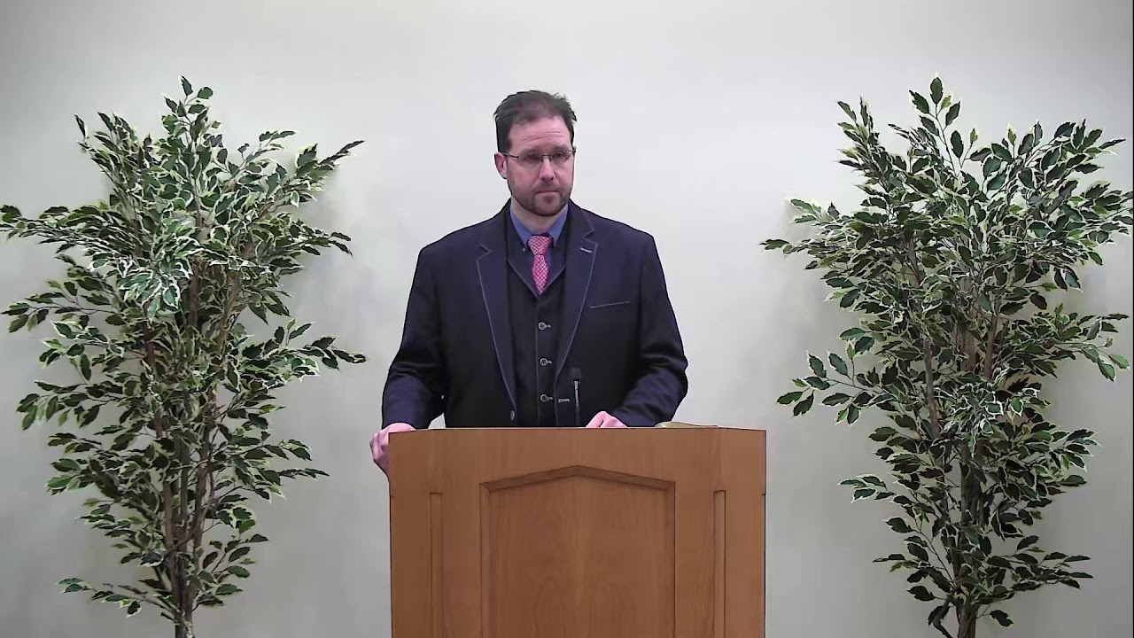 Expecting fruit (Luke 13:6–9)