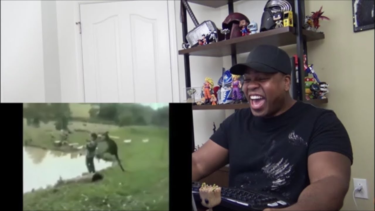 Animals Are Mean Sometimes REACTION!!!