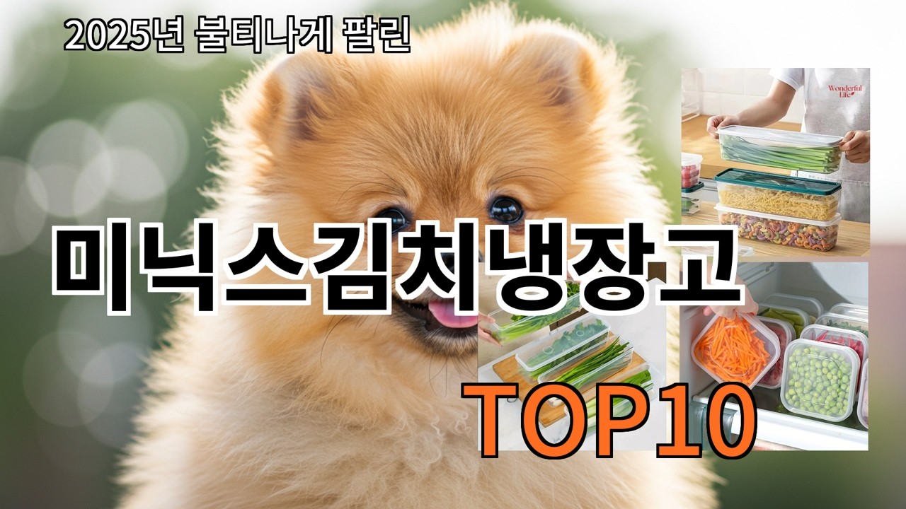 알리 미닉스김치냉장고 실사용 기준으로 무난한 추천