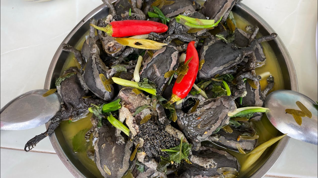 Lần đầu làm món ễnh ương nấu kiểu thái thật ngon !