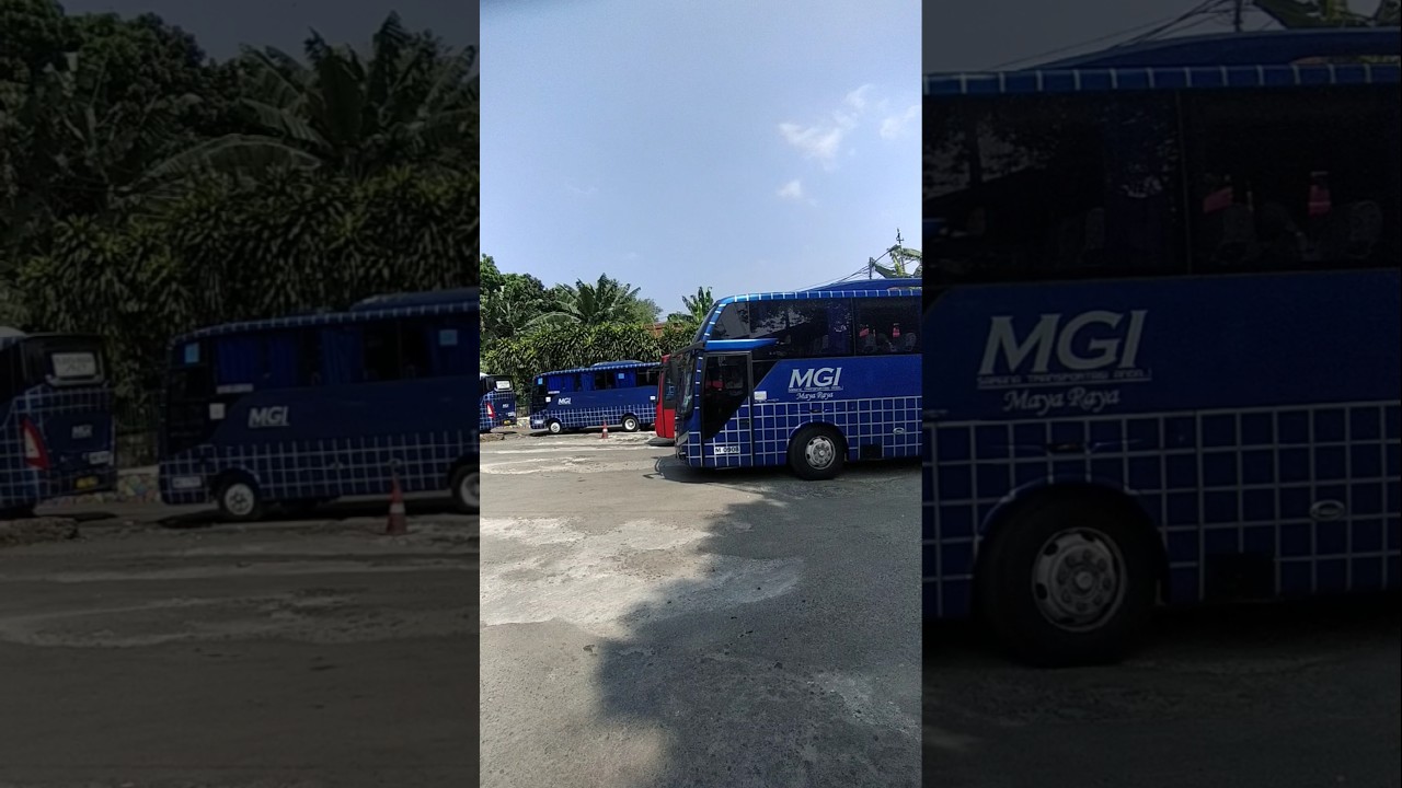 BIS MGI | BOGOR - BANDUNG #bus #busmania #vlog #mgi #akap #shorts #fyp