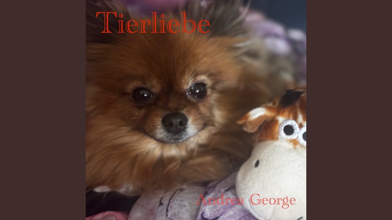 Tierliebe