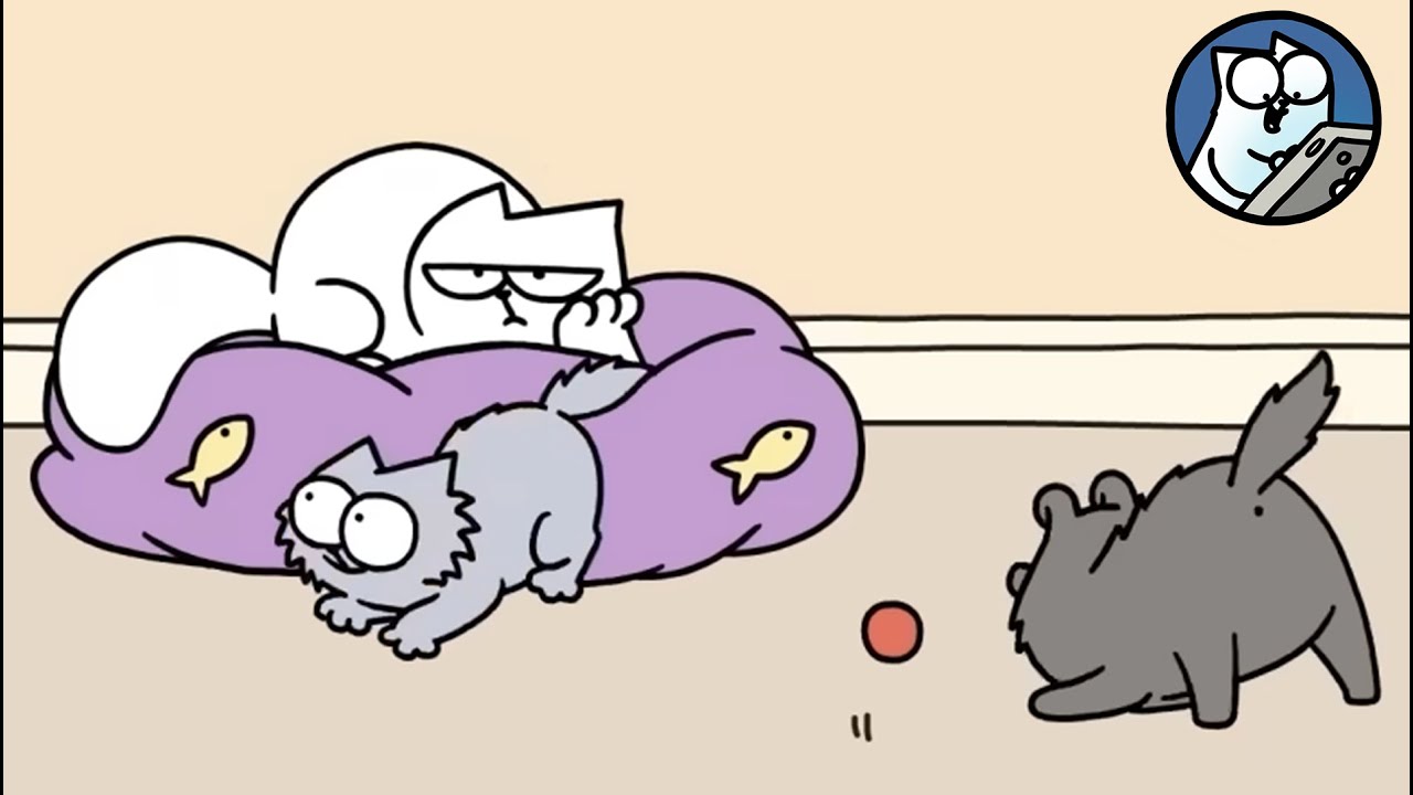 Simon's Cat isn't Happy! A Puppy Moves In 👀 | Simon's Cat Extra