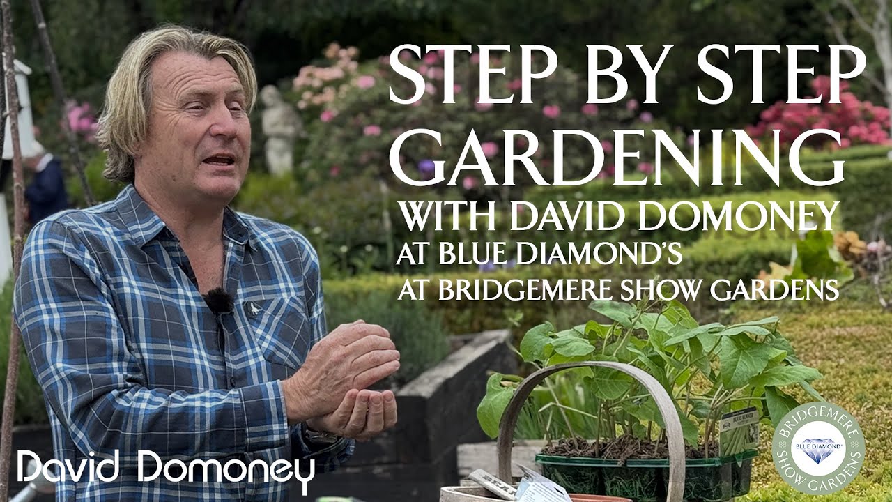 Easy May Gardening Step-by-Step GYO Vegetables with David Domoney at Bridgemere Show Gardens