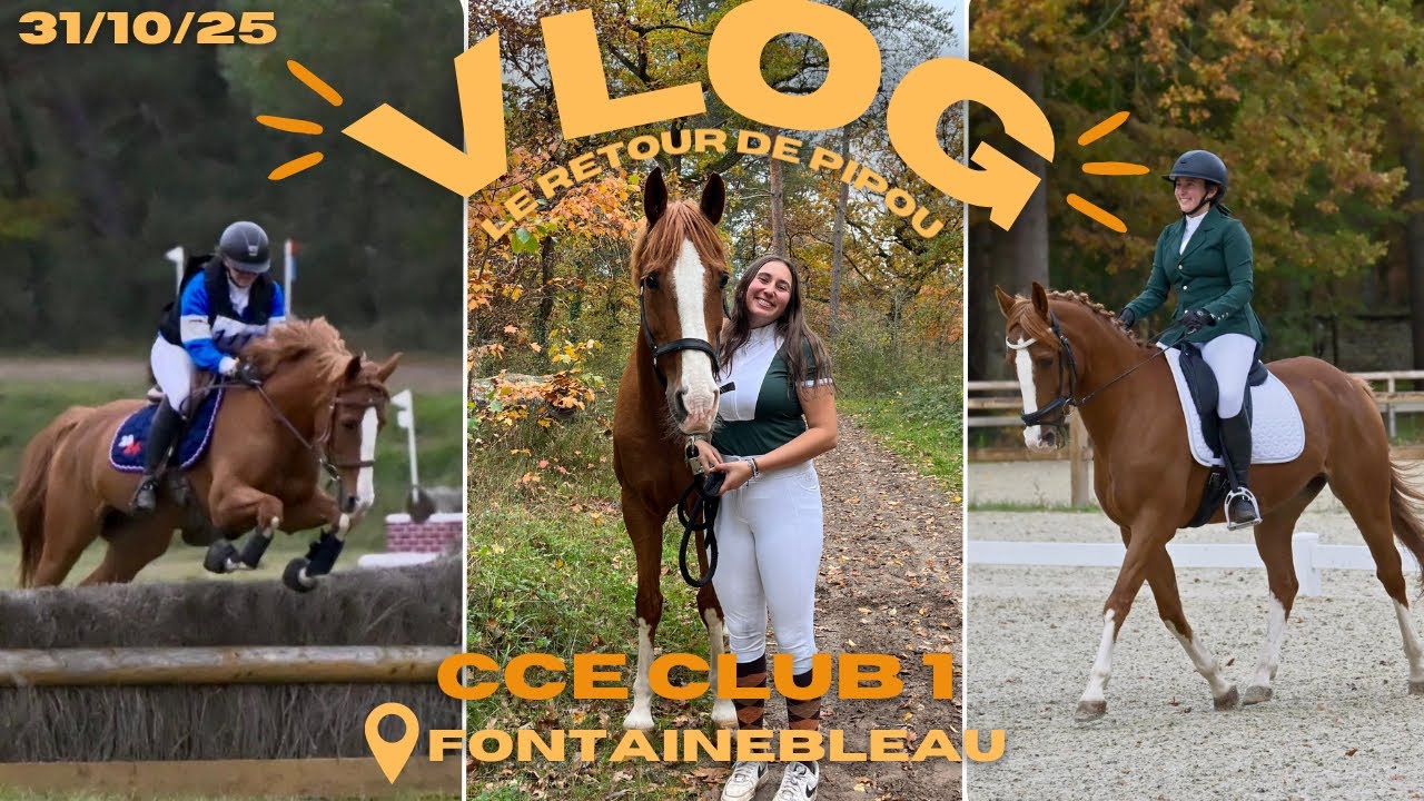 ❥ VLOG CONCOURS: Retour en concours avec Pipou !