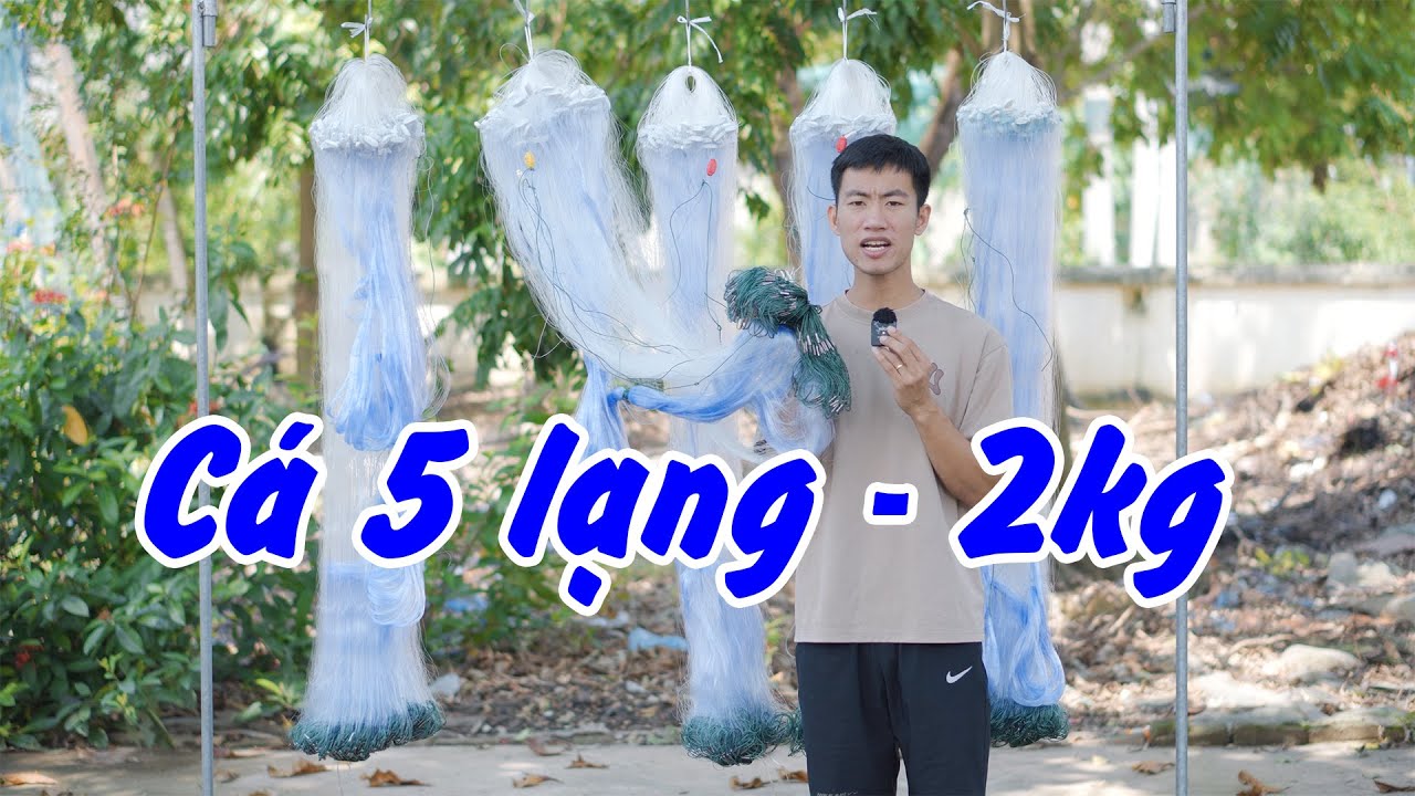 Lưới Đánh Cá Chép, Cá Phi Từ 5 lạng - 2kg | Cao 1m2 x 90m x 7cm Sợi 15 #450k || luoi danh ca a trung
