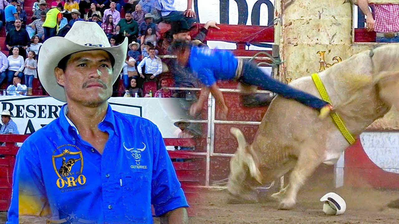 TREMENDO EL GOLPE QUE SE LLEV&Oacute; ESTE L&Aacute;TIGO DE JALISCO VS LOS TOROS DEL RANCHO GRANO DE ORO