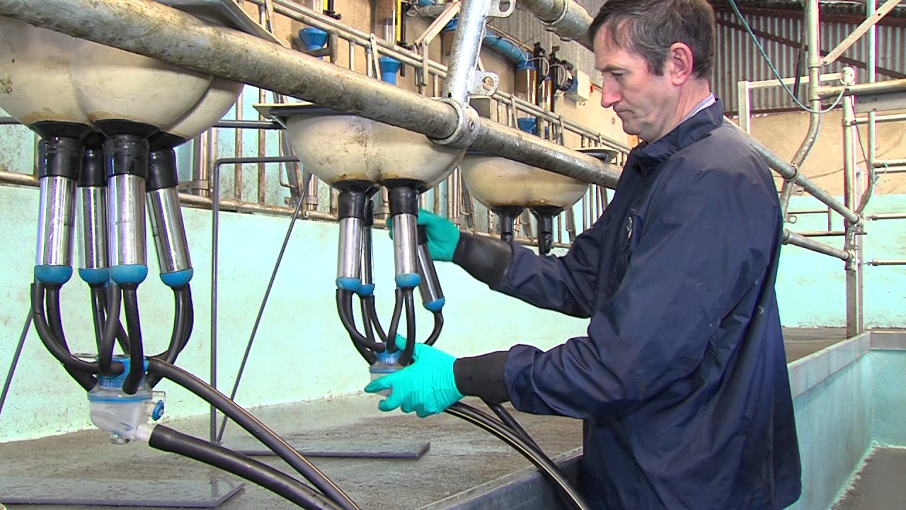 FRS MILKING COURSE: CLUSTER ATTACHMENT
