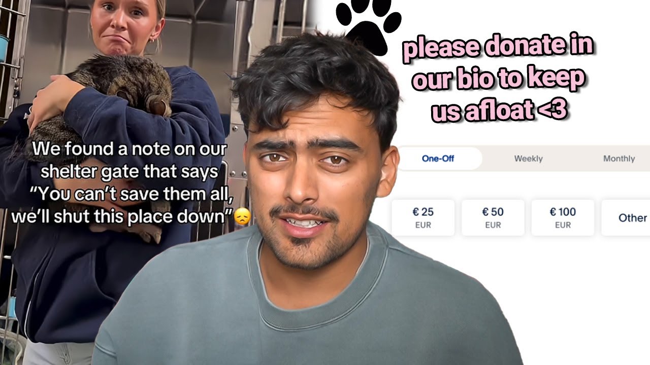 Evil Cat Shelter Scam
