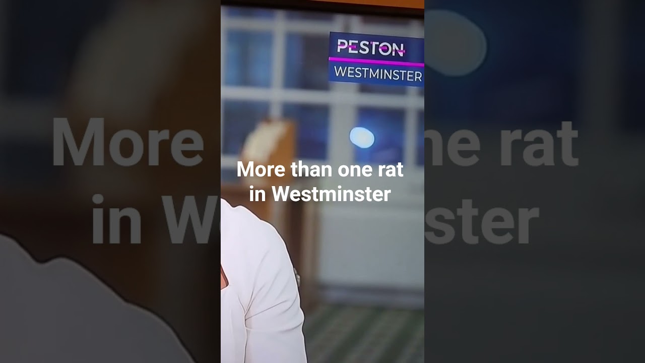 More than one rat in Westminster