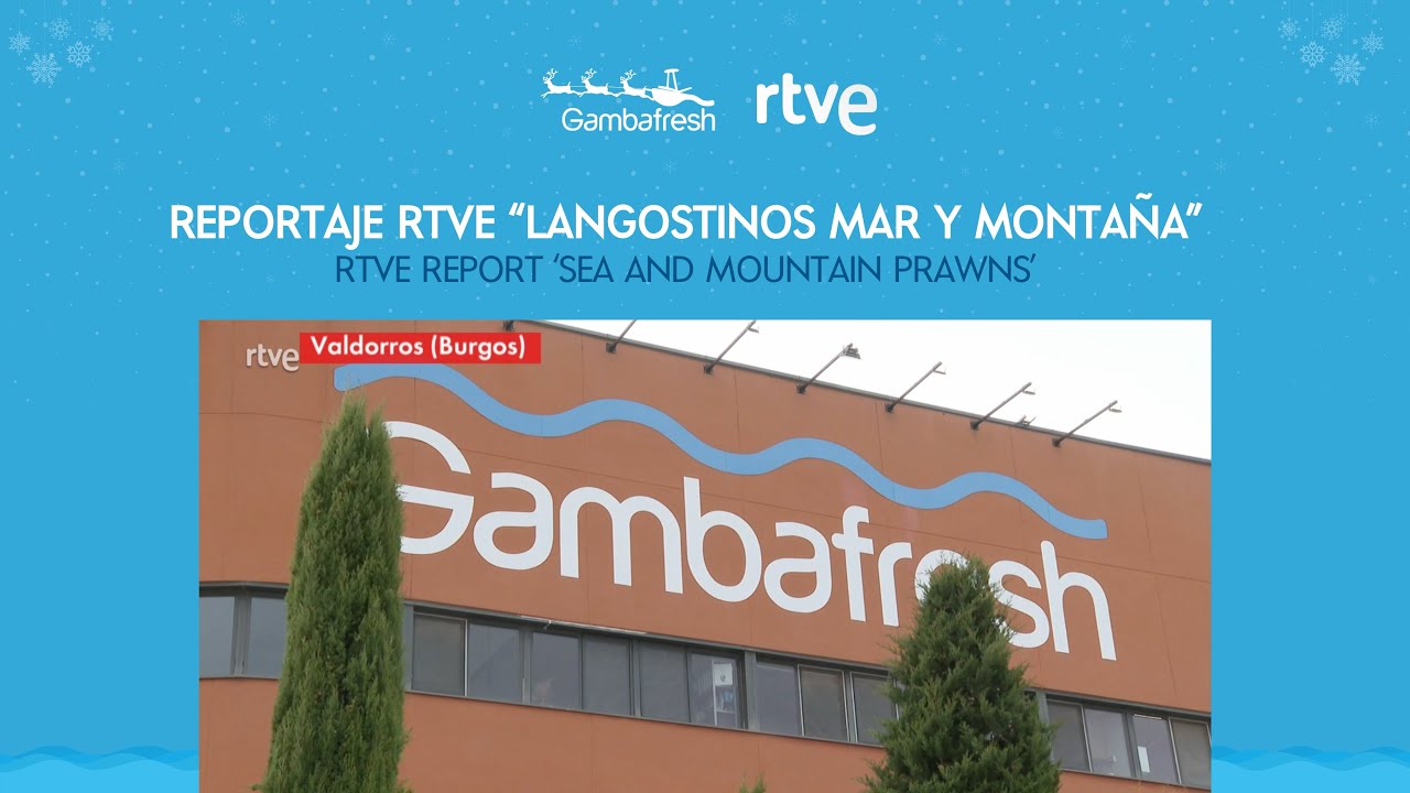 🦐⛰️ LANGOSTINOS MAR Y MONTAÑA ⛰️🦐