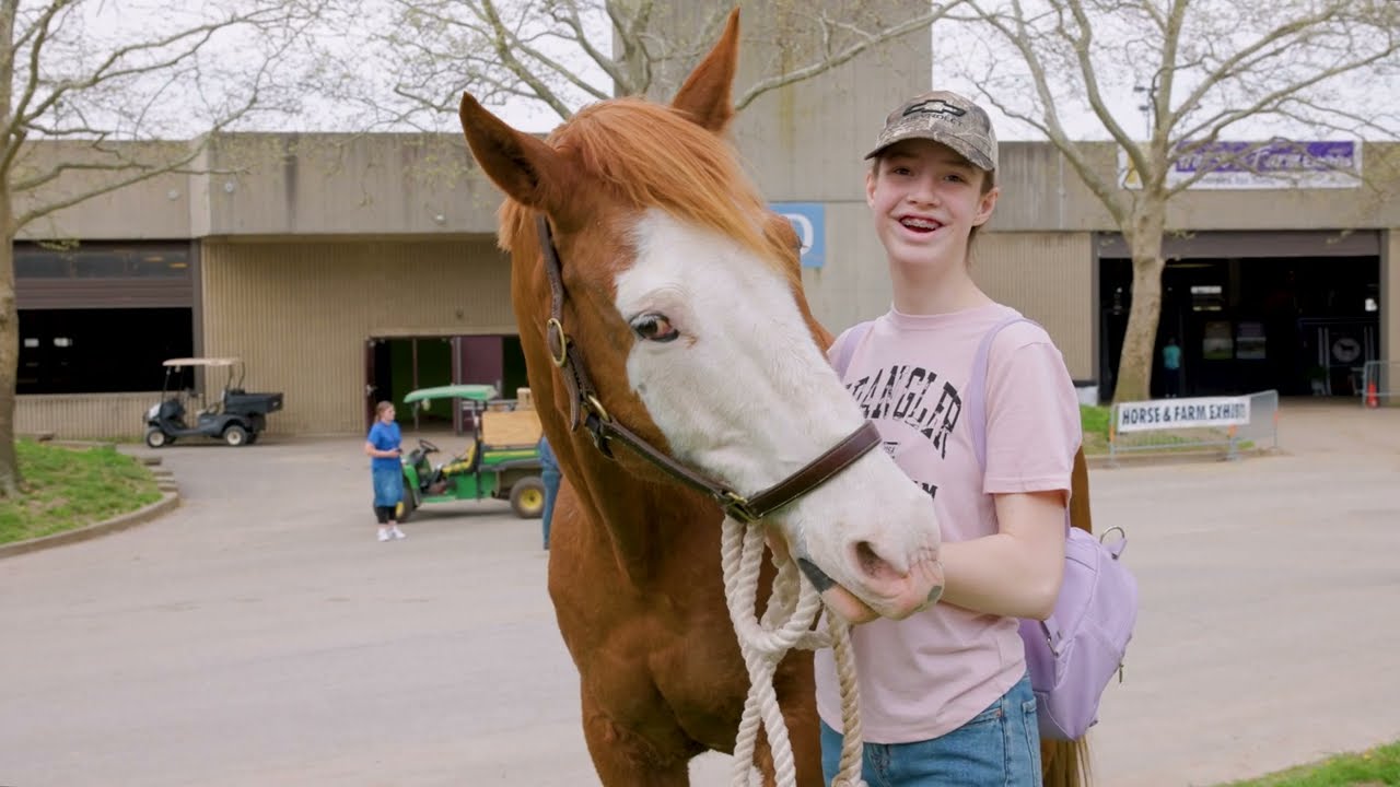 Meet the new love of your life at the Adoption Affaire!