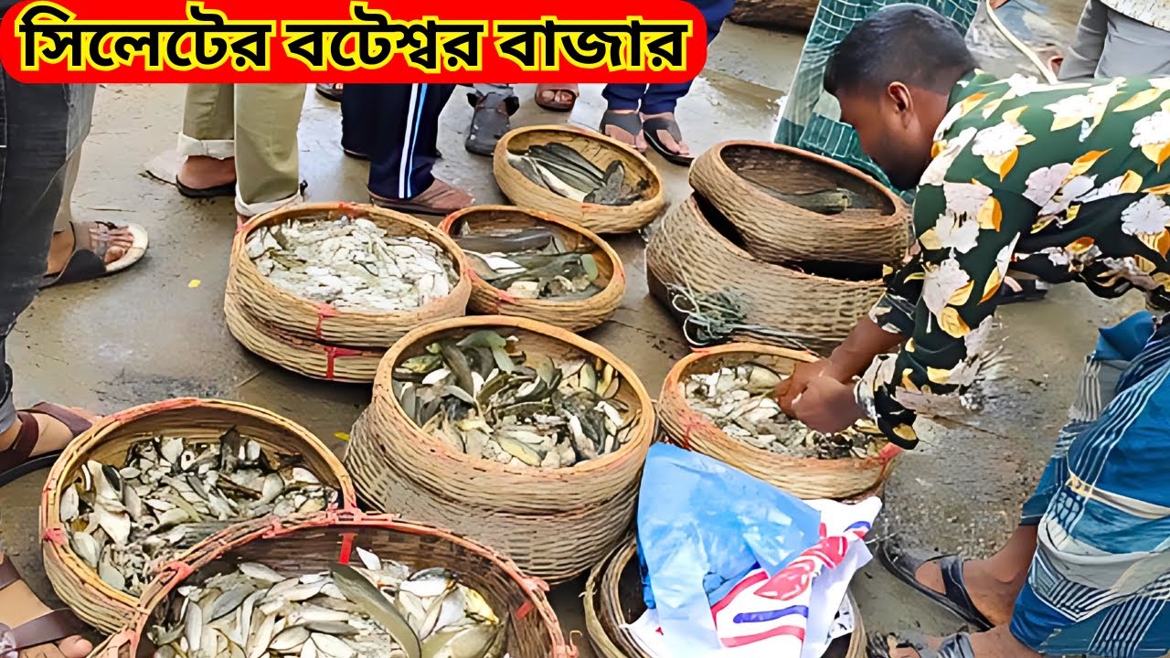 বিল, হাওর আর নদীর মাছের ভান্ডার সিলেটের বটেশ্বর মাছ বাজার | Sylhet Bateshwar Fish Market