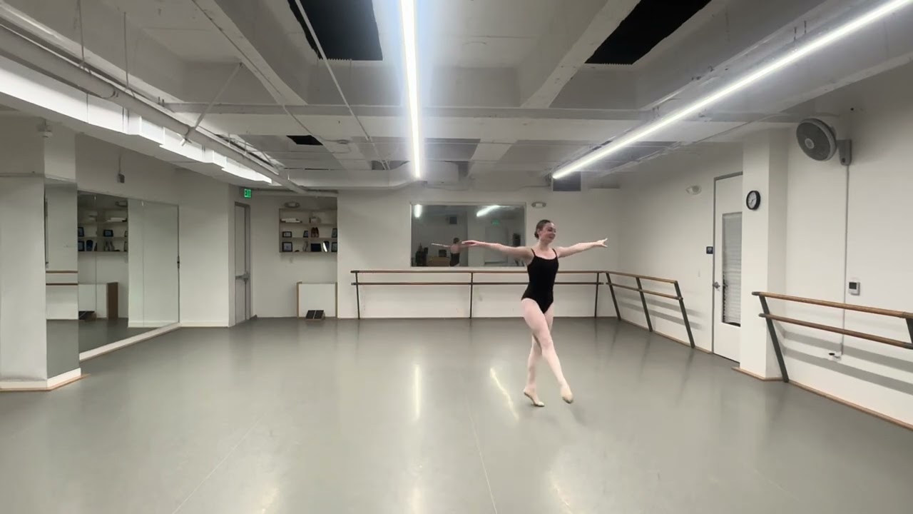 Megan Attarian’s NYU Tisch Pre-Screen Audition Video