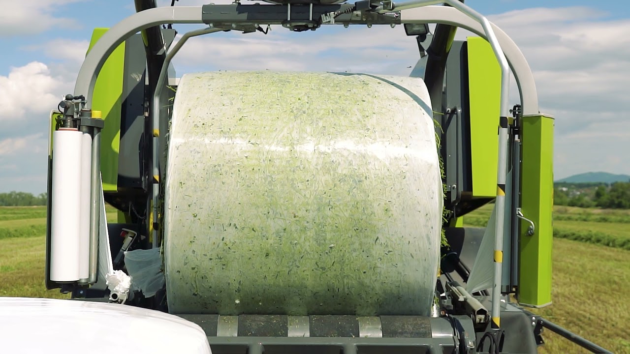 Pokos- porady dotyczące zbierania sianokiszonki od Pawła Bauryczy z CLAAS Polska | Krowie Na Zdrowie
