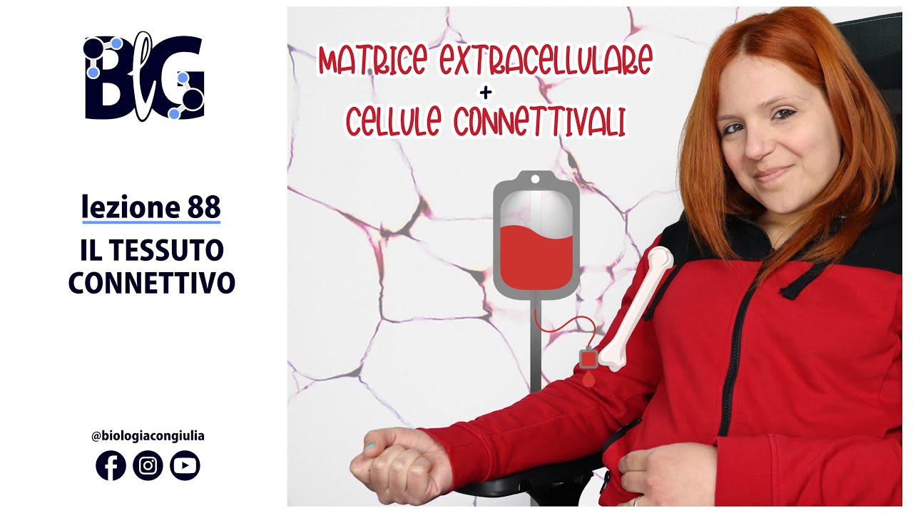 Il TESSUTO CONNETTIVO