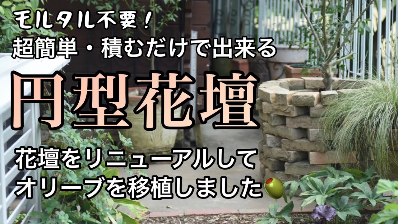 【ガーデンDIY】【モルタル不要の円型花壇】【鉢植えのオリーブを移植】
