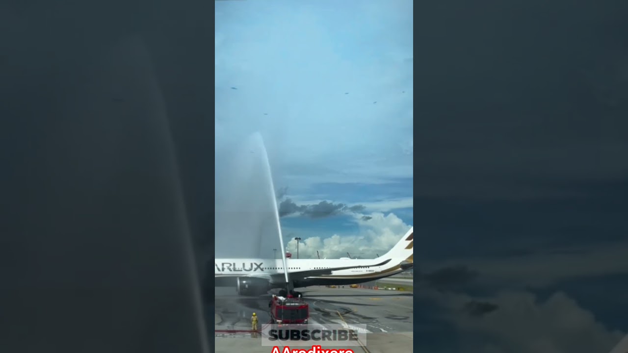 terrifying firefighters chase away a flock of eagles as the starlux plane