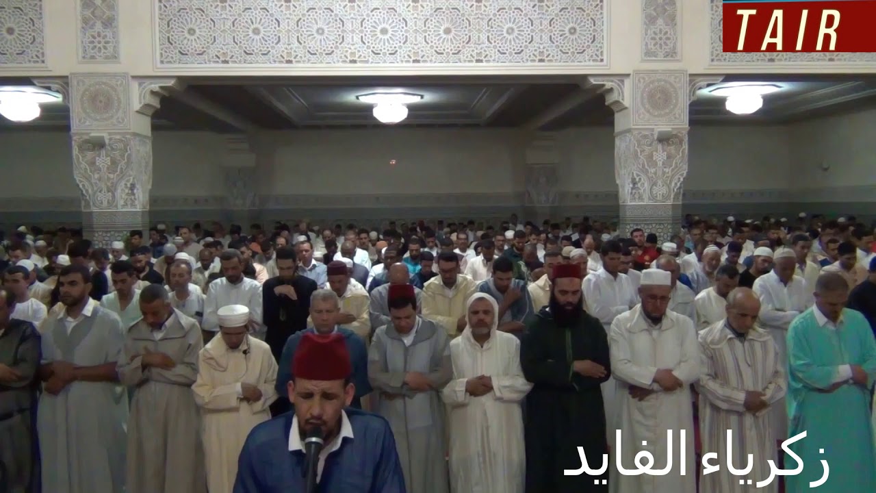 القارئ زكرياءالفايد