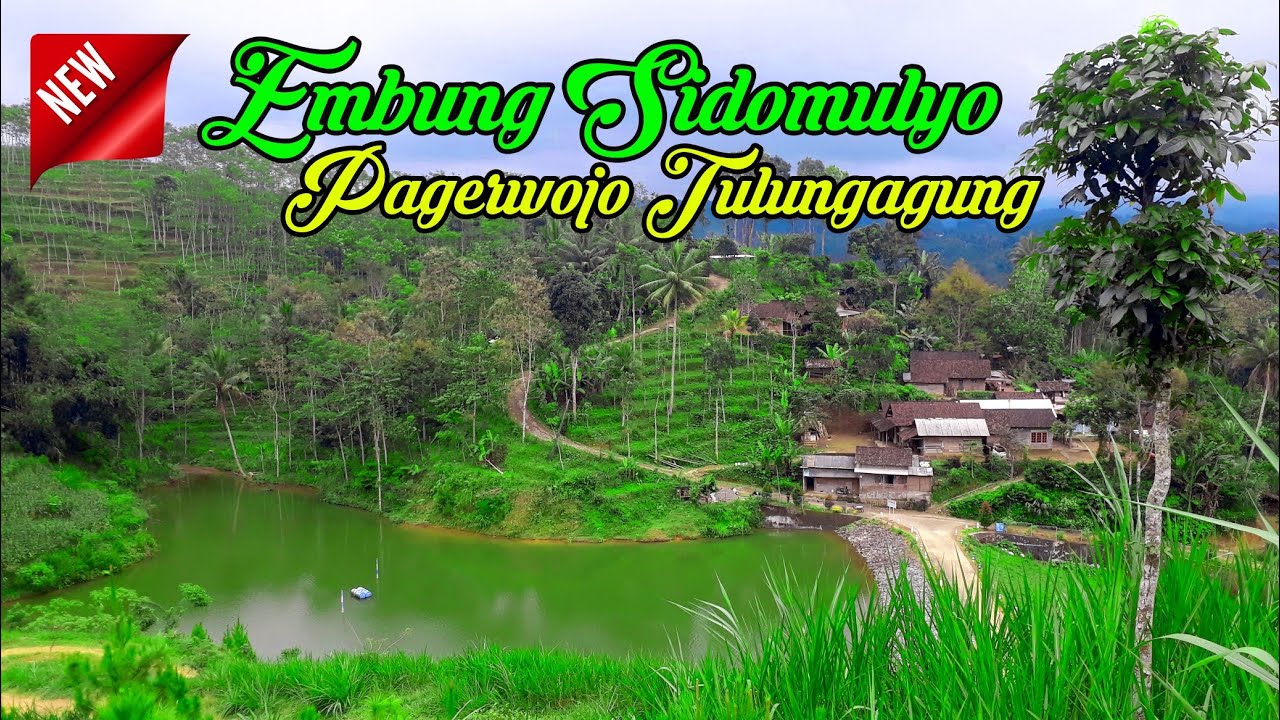 Embung Sidomulyo Pagerwojo Tulungagung | Full HD