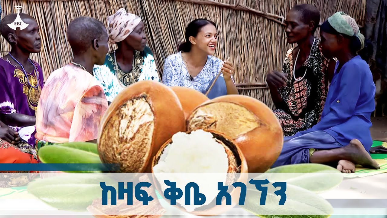 ጉዞ/Guzo - ከዛፍ ቅቤ አገኘን