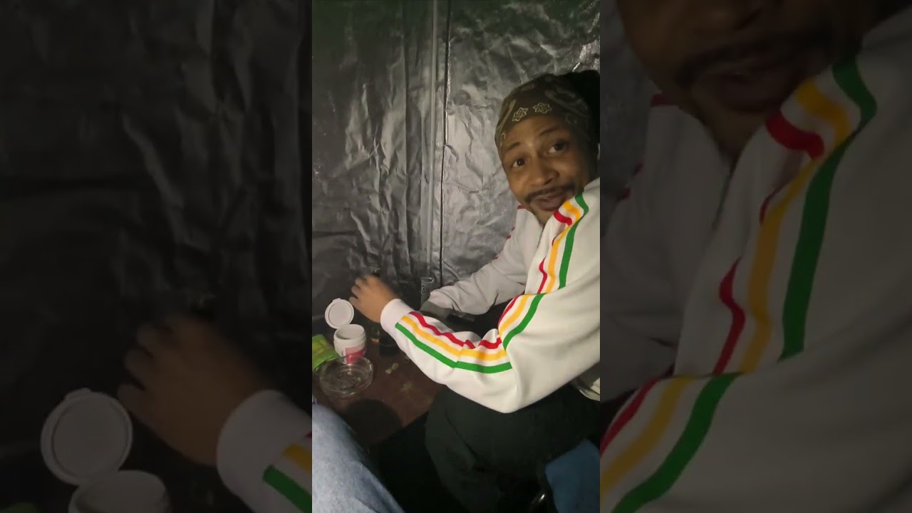 Erster legaler 420 Day in Germany Erlangen - Rückblende Bobby Kush