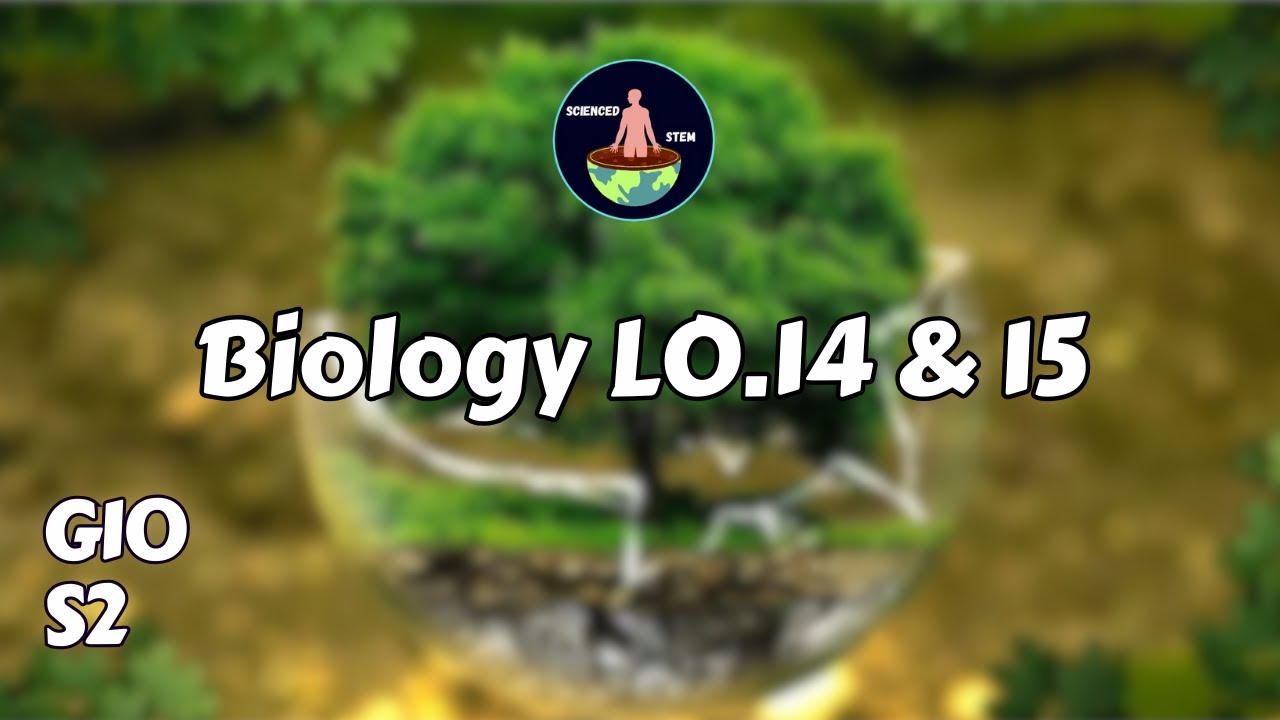 Biology LO 14 & 15 | Grade 10 Semester 2 | Scienced STEM