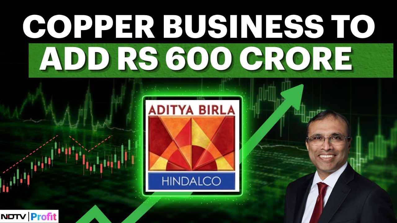Hindalco Q4 Review: What Led To The Margin Decline In Copper Business | NDTV Profit