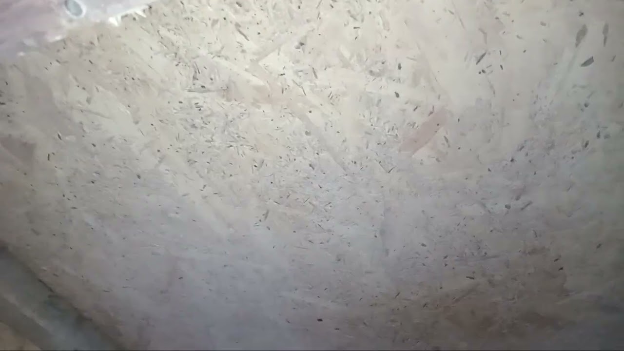 Video la porumbei .🕊🕊 pe zapadă