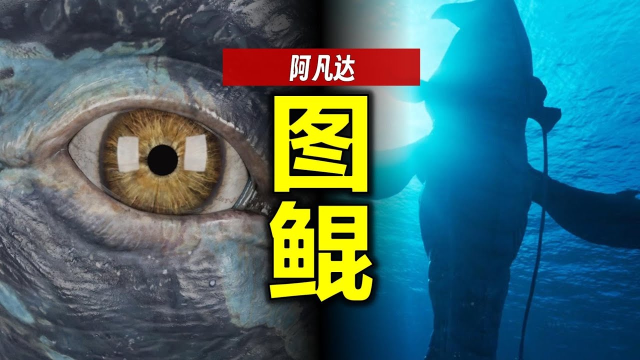 比藍鯨還大？比人類還聰明？《阿凡達》圖鯤詳細解析