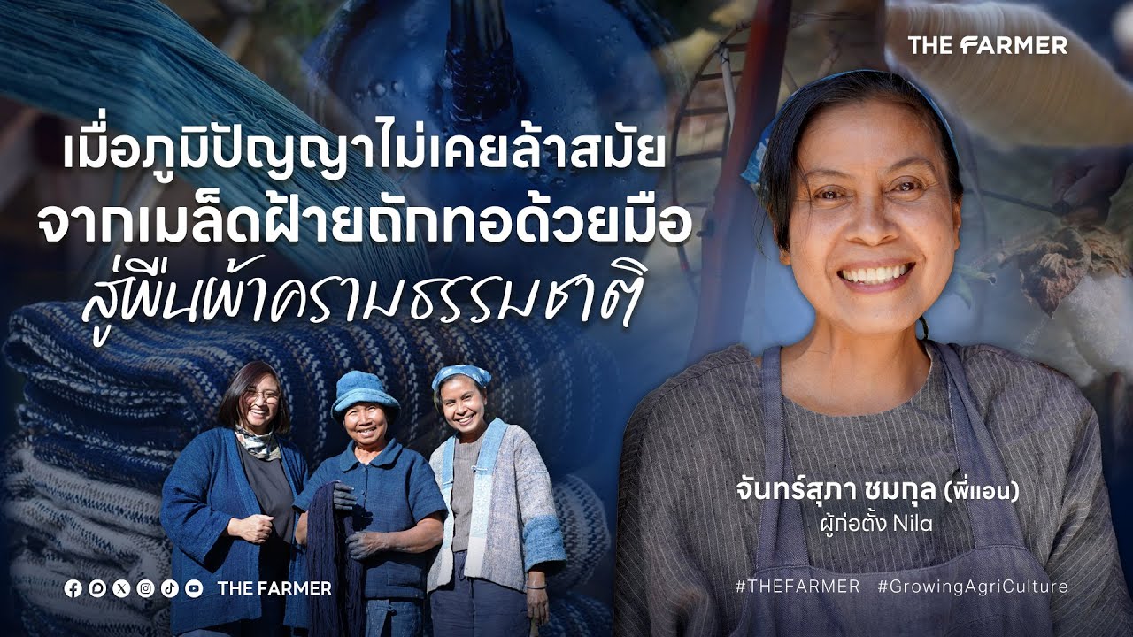 เมื่อภูมิปัญญาไม่เคยล้าสมัย จากเมล็ดฝ้ายถักทอด้วยมือ สู่ผืนผ้าครามธรรมชาติ | THE FARMER