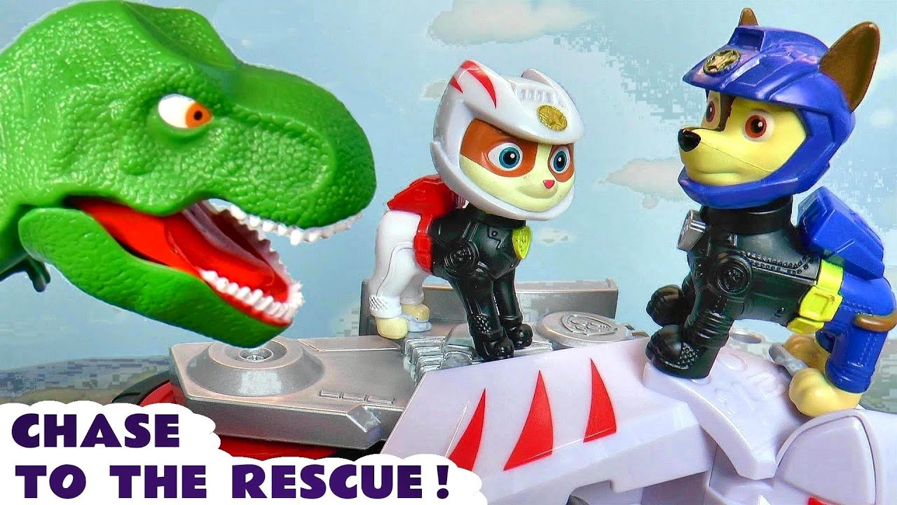 Wildcat And Chase To The Rescue