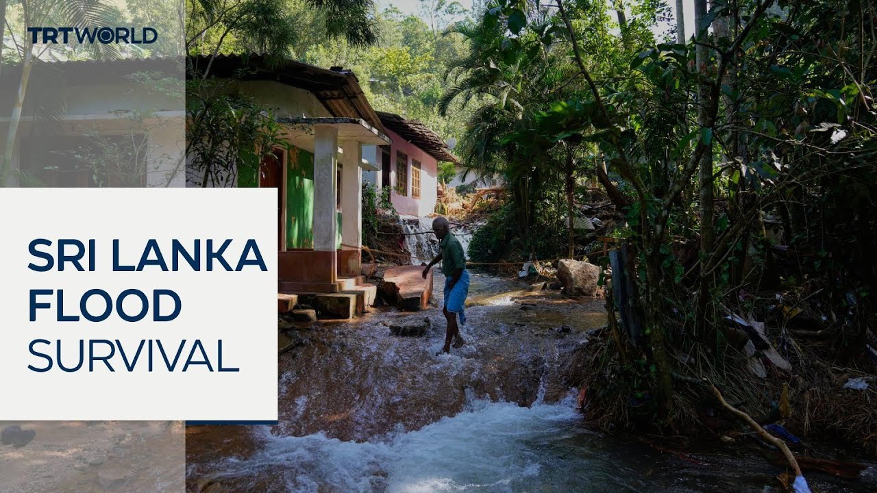 Sri Lankan families seek refuge in shelters as floods sweep away homes