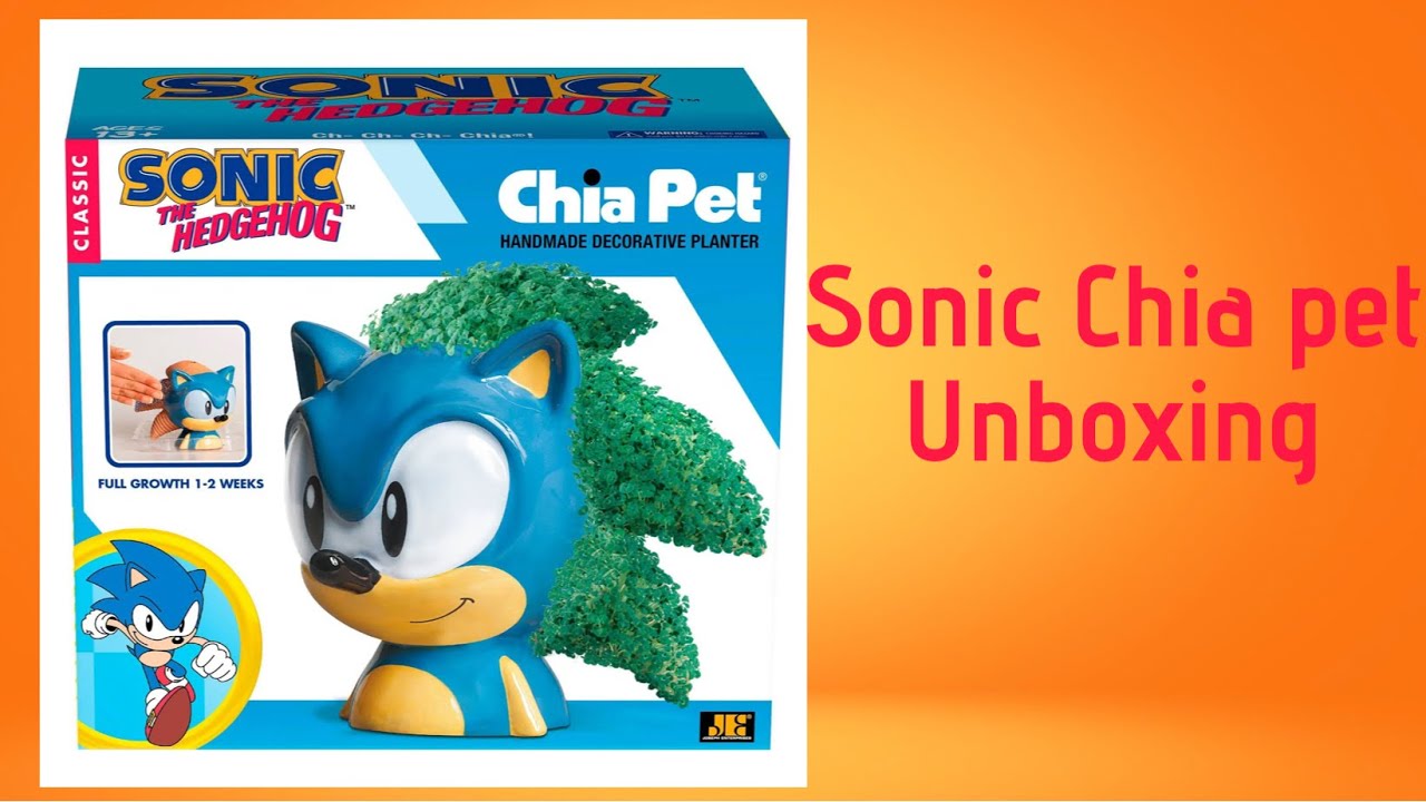 Sonic Chia pet Unboxing