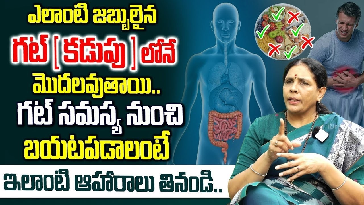 గట్ హెల్త్ ఎందుకు వస్తుంది..? Aruna Devi About Best Foods For Gut Health | GUT | iDream Doctors