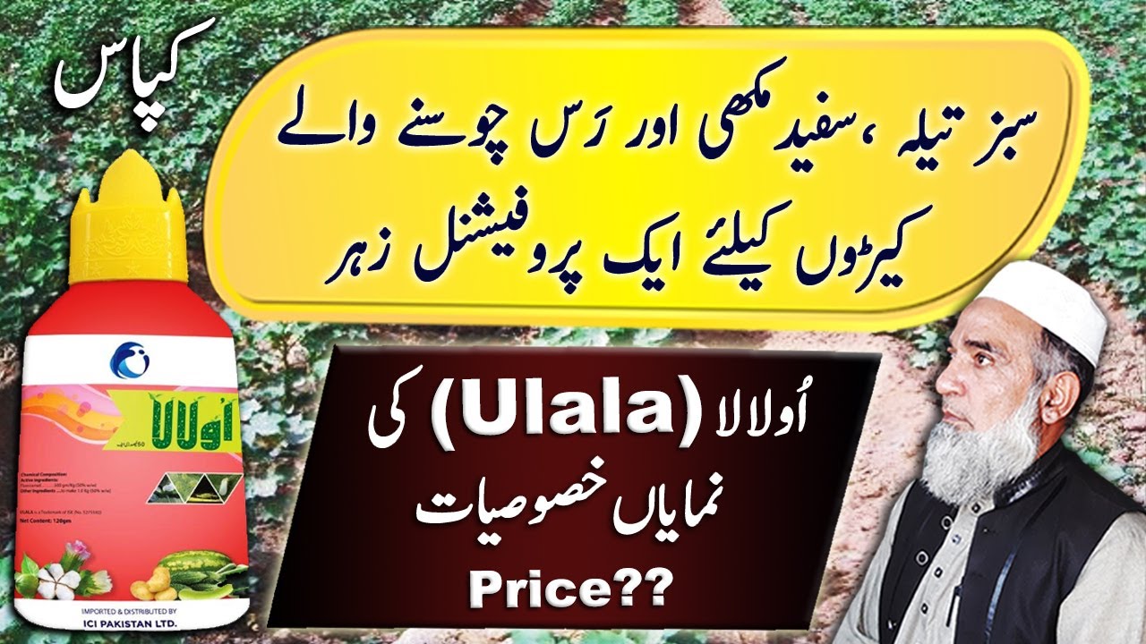 Introduction of pesticide Ulala DF 50 (ICI Pakistan) | Crop Reformer