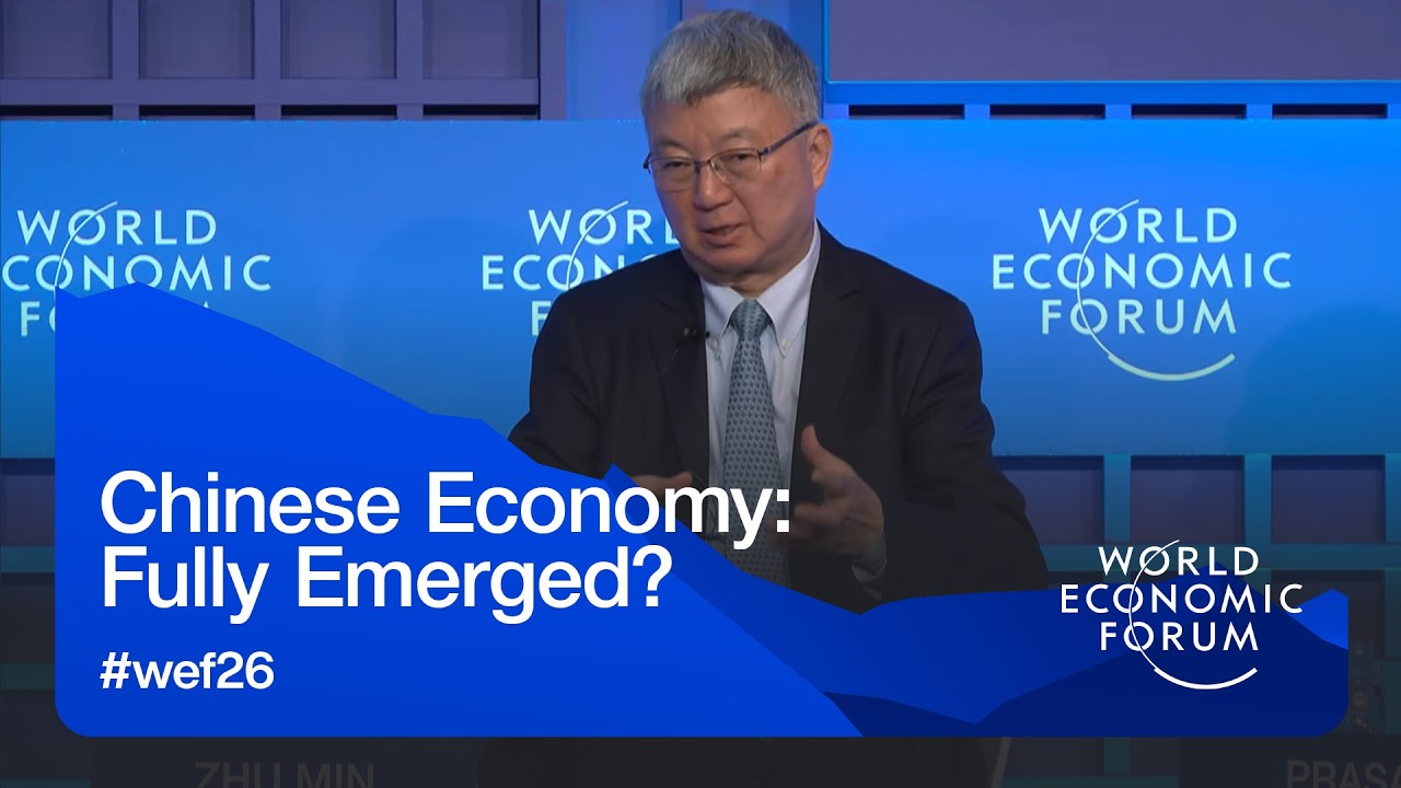Chinese Economy: Fully Emerged?