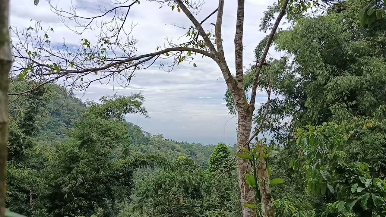 Quiet Mountain Morning - Pure Nature Sounds In The Highlands