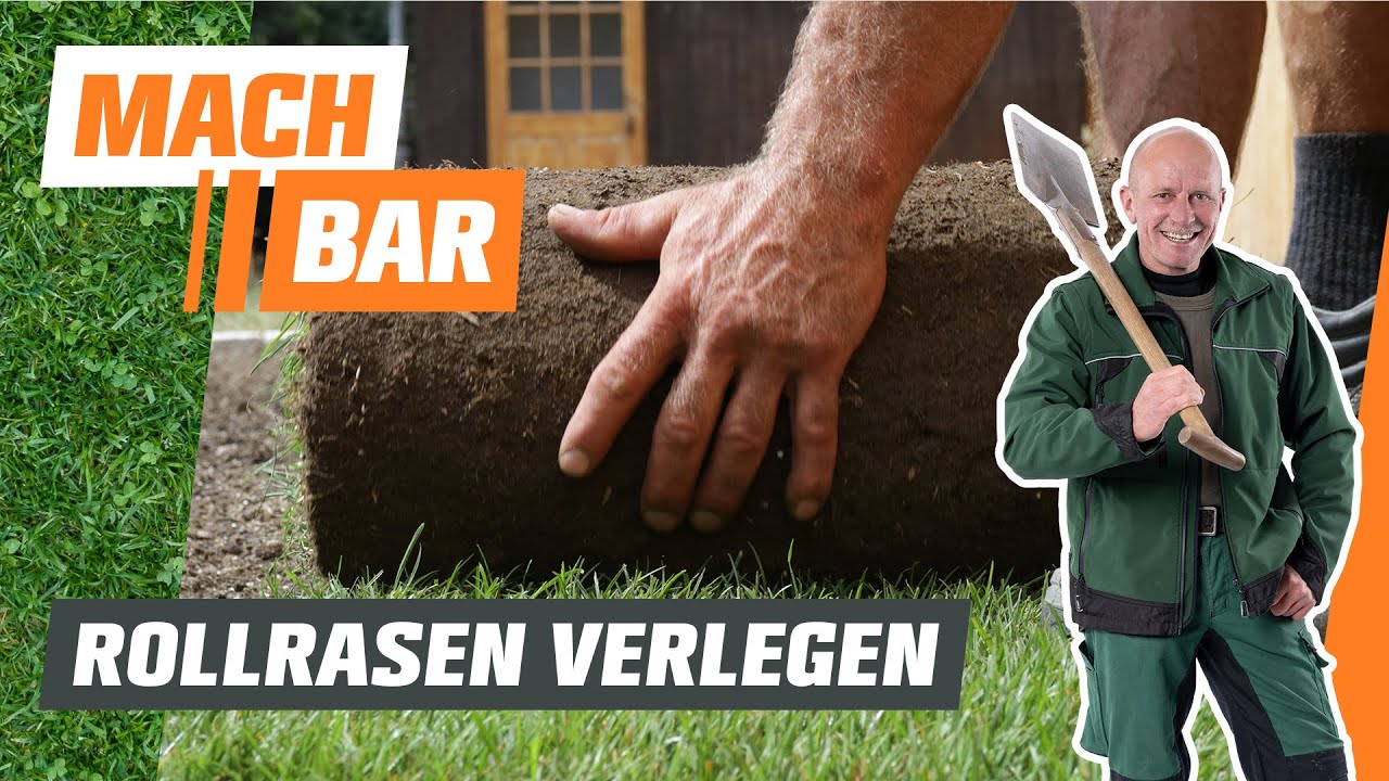 Rollrasen verlegen | OBI