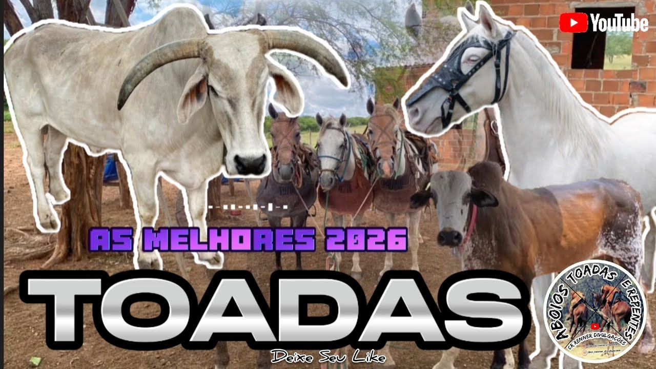 As Melhores Toadas 2026 - Vaqueiro Cavalo e Gado  - Aboios Toadas e Repentes 