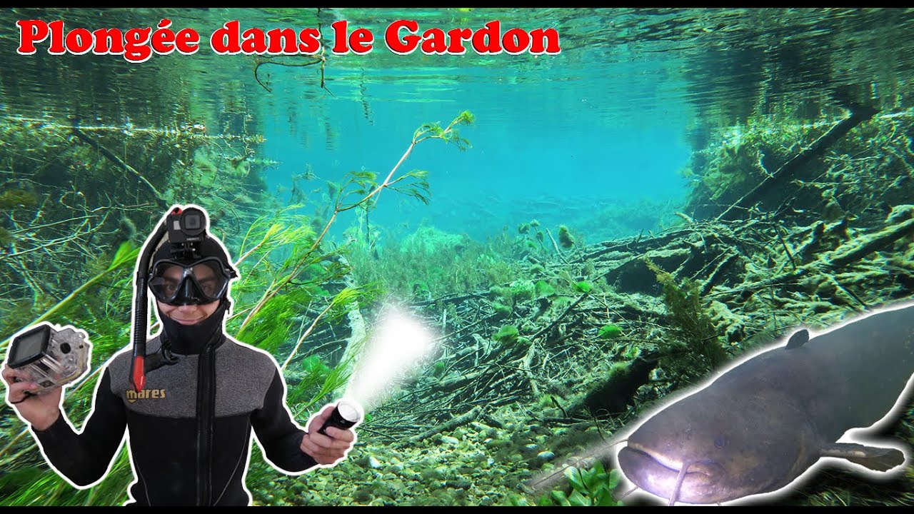 PLONGÉE dans : le Gardon à Remoulins || Episode 1 || (mars 2023)