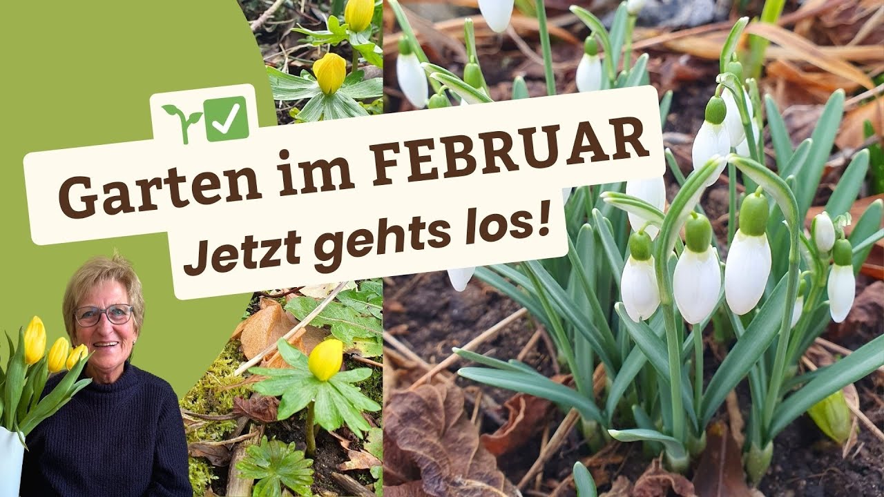 Gartenarbeiten im Februar– alles auf einen Blick