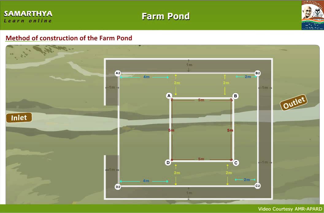 Farm Pond