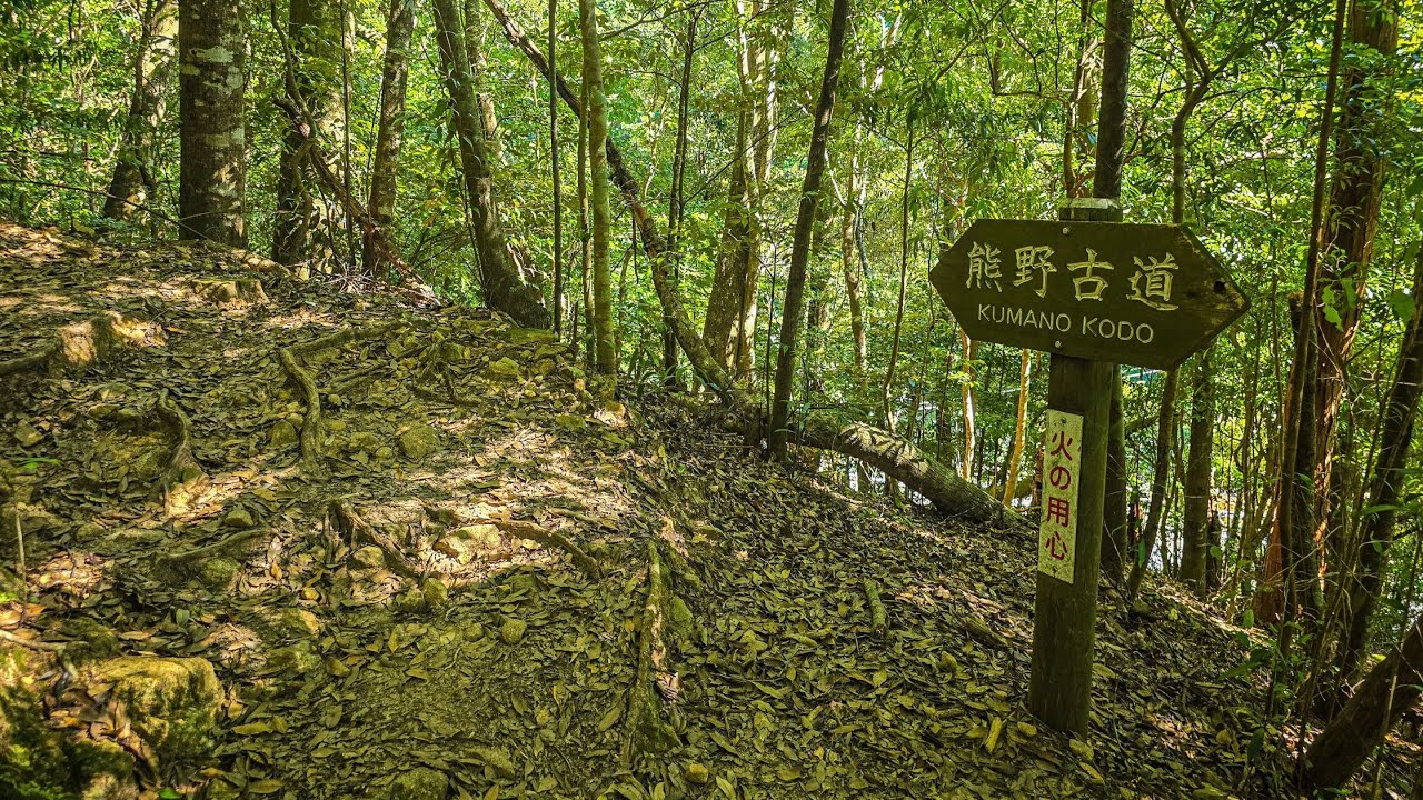 Kumano Kodo Pilgrimage Day 1 (Tanabe - Takijiri - Takahara) Sept. 1, 2025