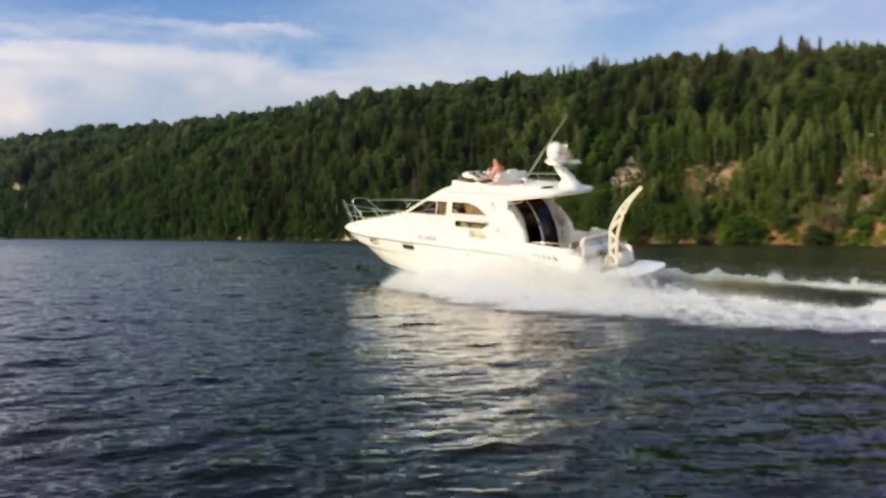 Sealine F33