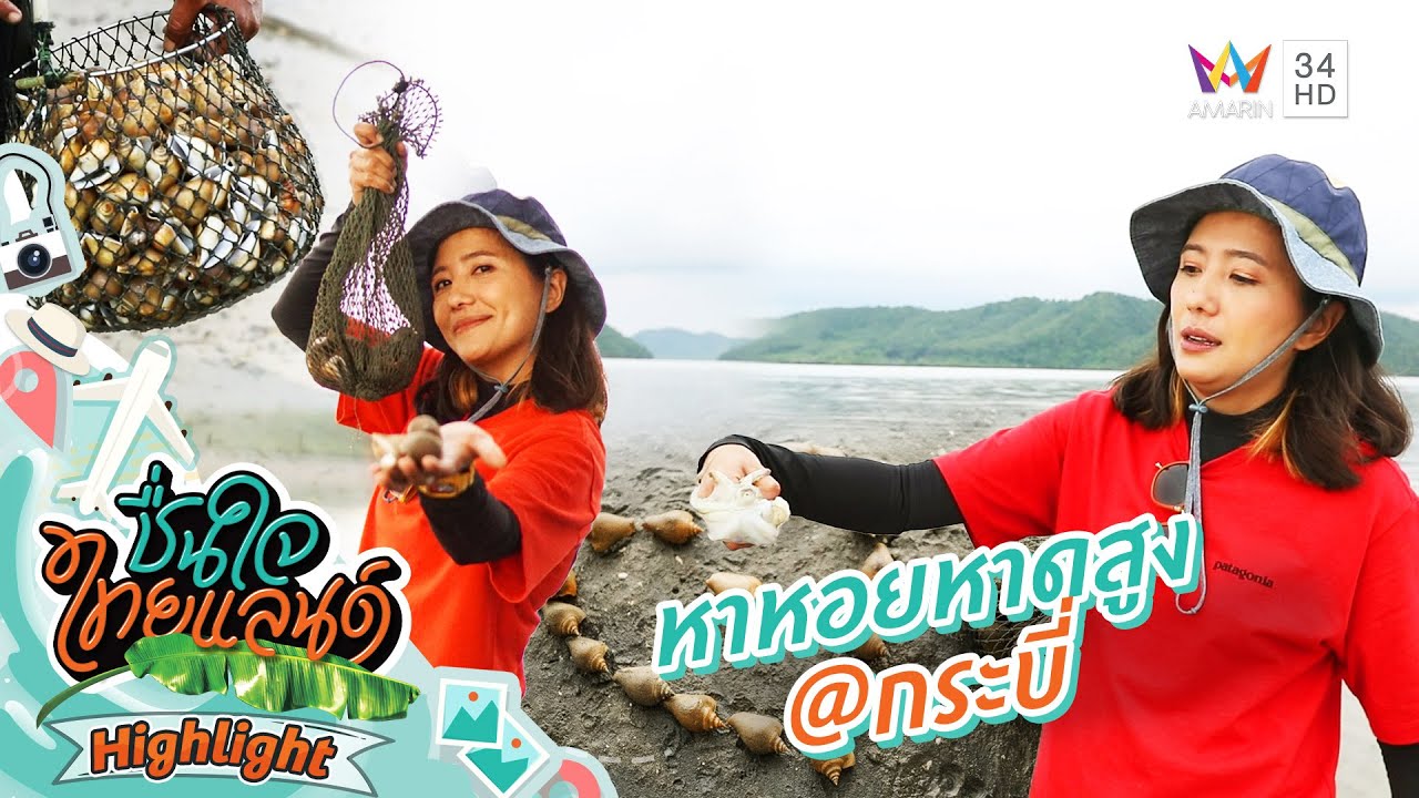 หาหอยหาดสูง @กระบี่ | ชื่นใจไทยแลนด์