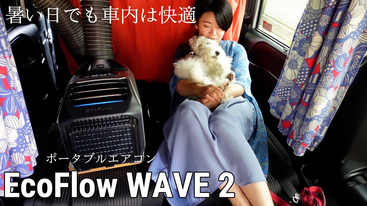 犬連れ車中泊でもポータブルエアコンEcoFlow WAVE 2があれば行ける回数が増えるかも！