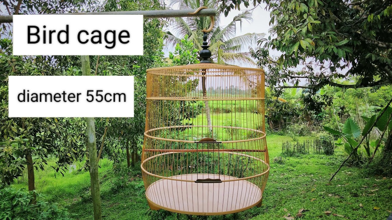 DIY How to make a large round bamboo cage